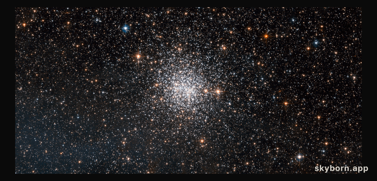 NGC 1872: open or globular cluster?