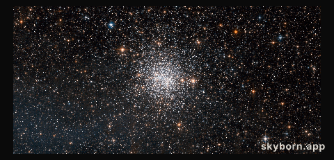 NGC 1872: open or globular cluster?