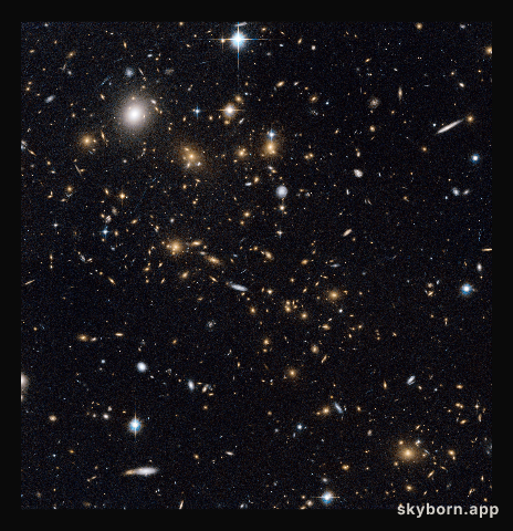 A snowstorm of distant galaxies