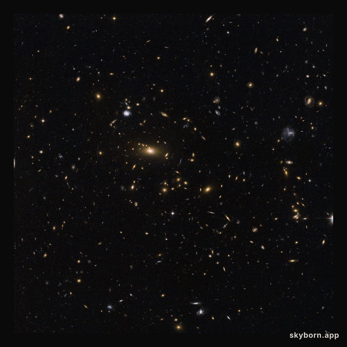 Galactic moths drawn to a bright light