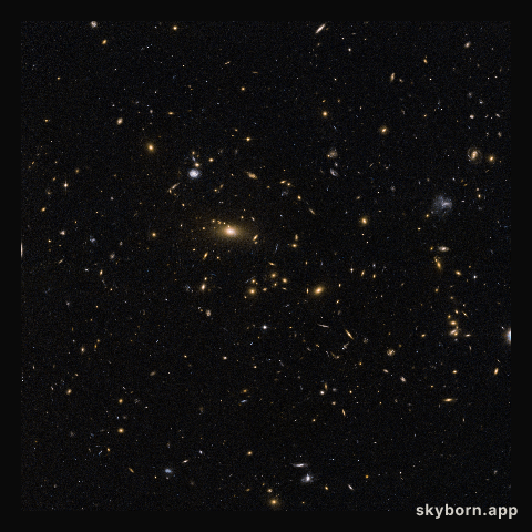 Galactic moths drawn to a bright light