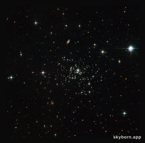 The secret of stellar youth