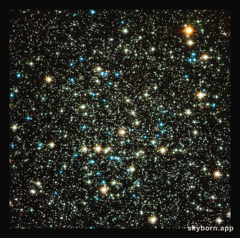 Family of stars breaking up