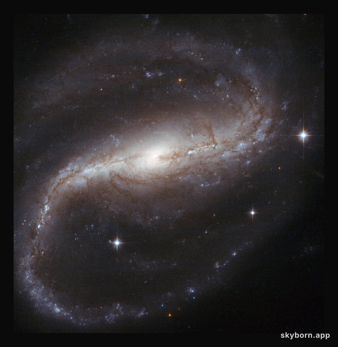 Spiral spins both ways