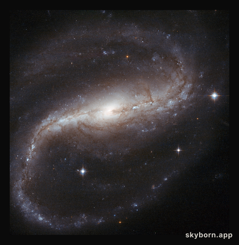 Spiral spins both ways