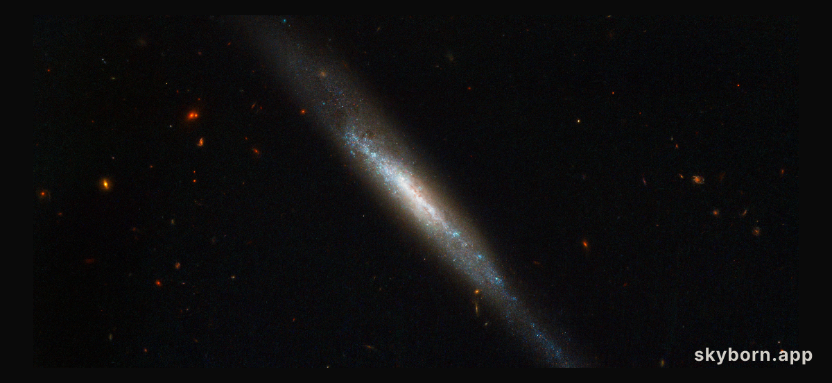 Edge-on galaxy hosts supernova explosion