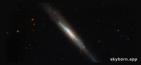 Edge-on galaxy hosts supernova explosion