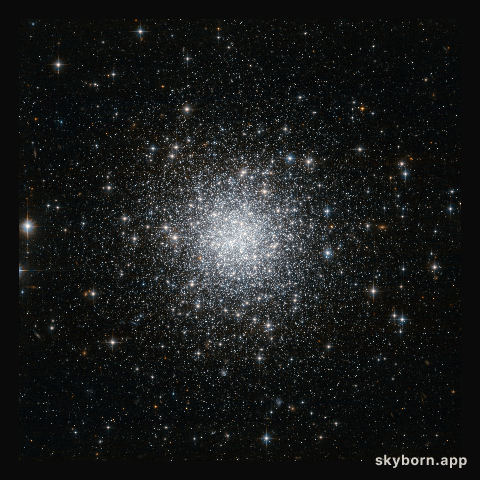 A remote outpost of the Milky Way
