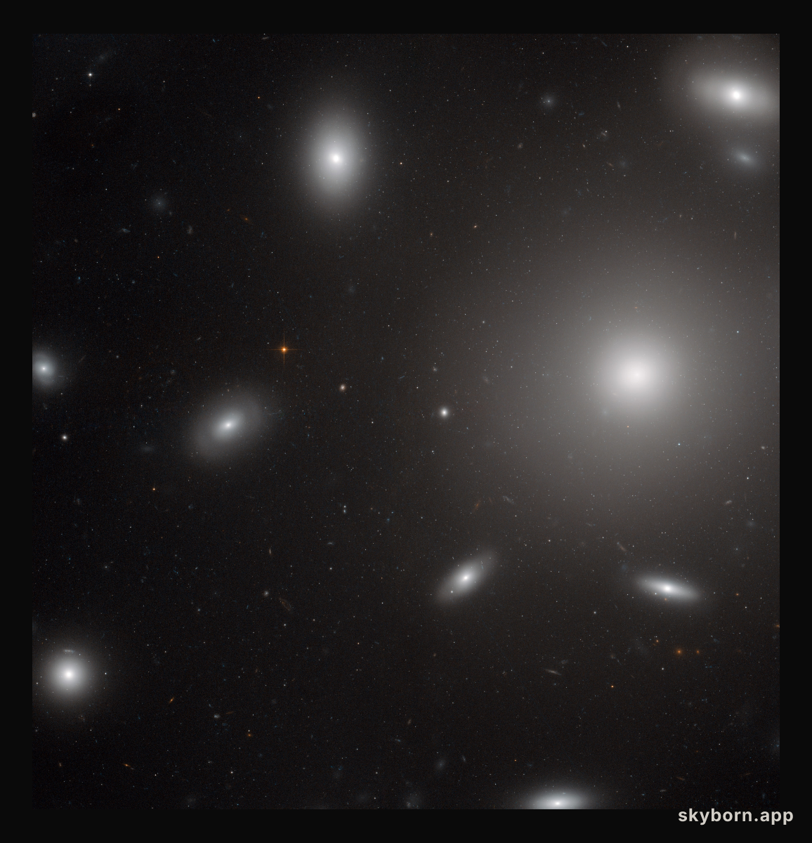 Galaxies in a swarm of star clusters