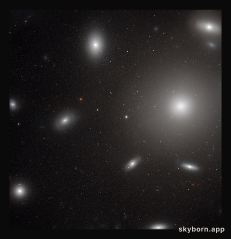 Galaxies in a swarm of star clusters