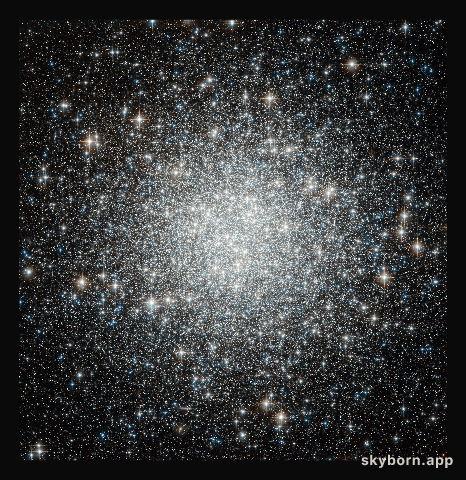 Spot the difference: Hubble spies another globular cluster, but with a secret