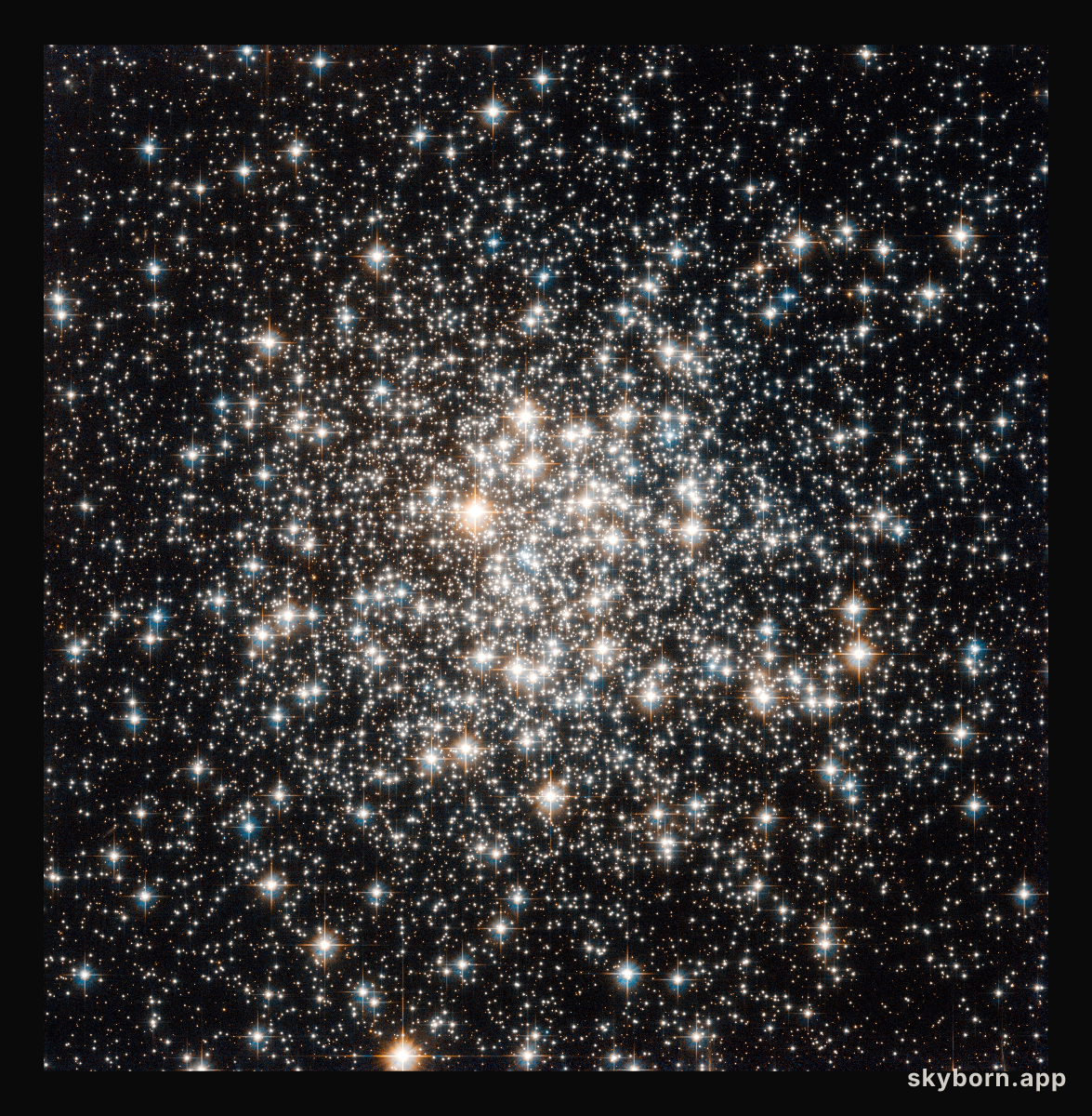 An audience of stellar flashbulbs