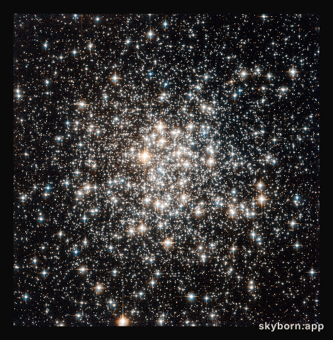 An audience of stellar flashbulbs