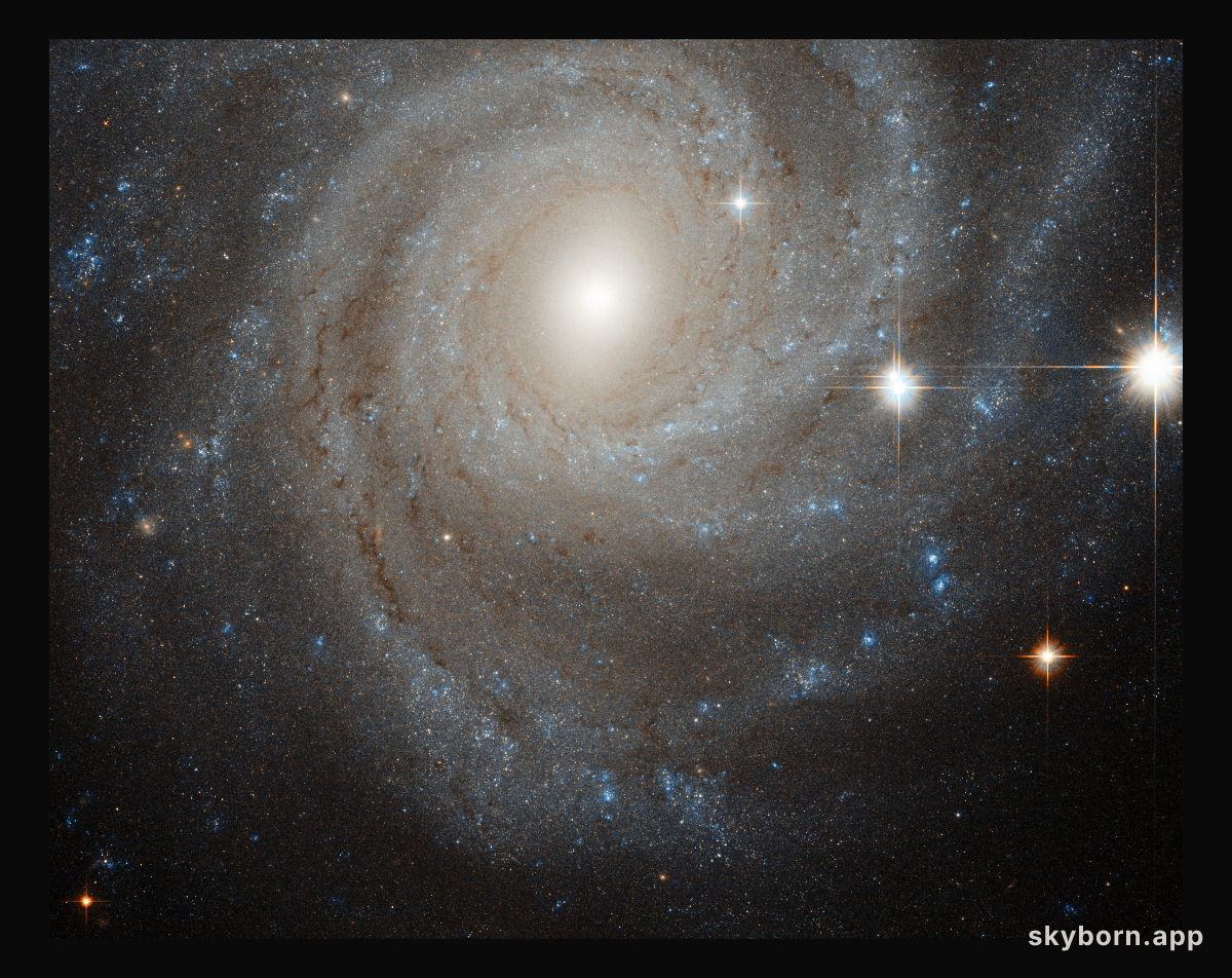 Galaxy in a spin