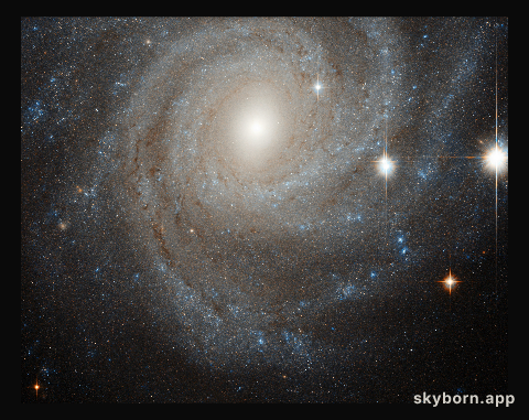 Galaxy in a spin