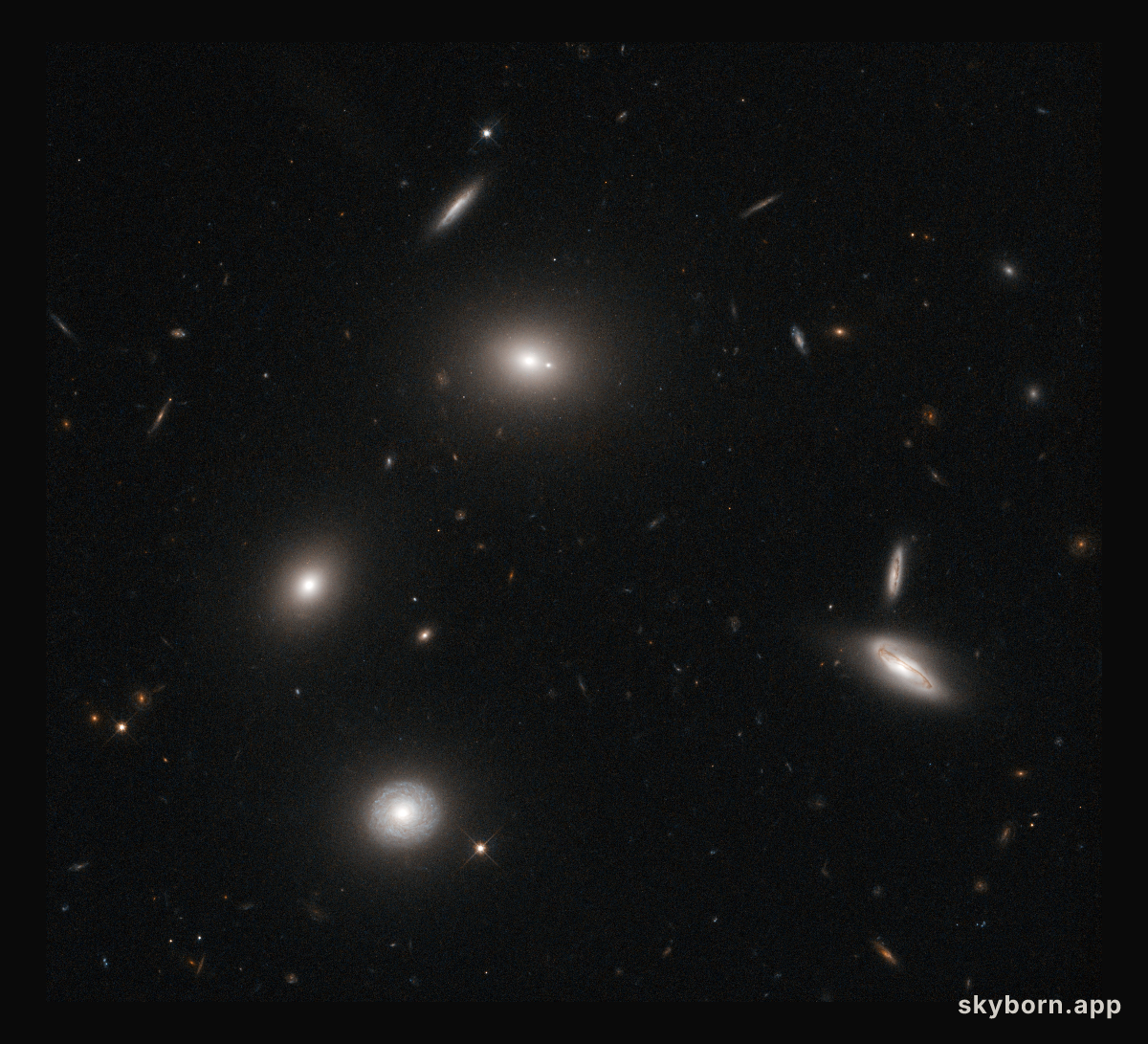 Galactic fireflies