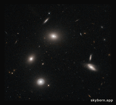 Galactic fireflies