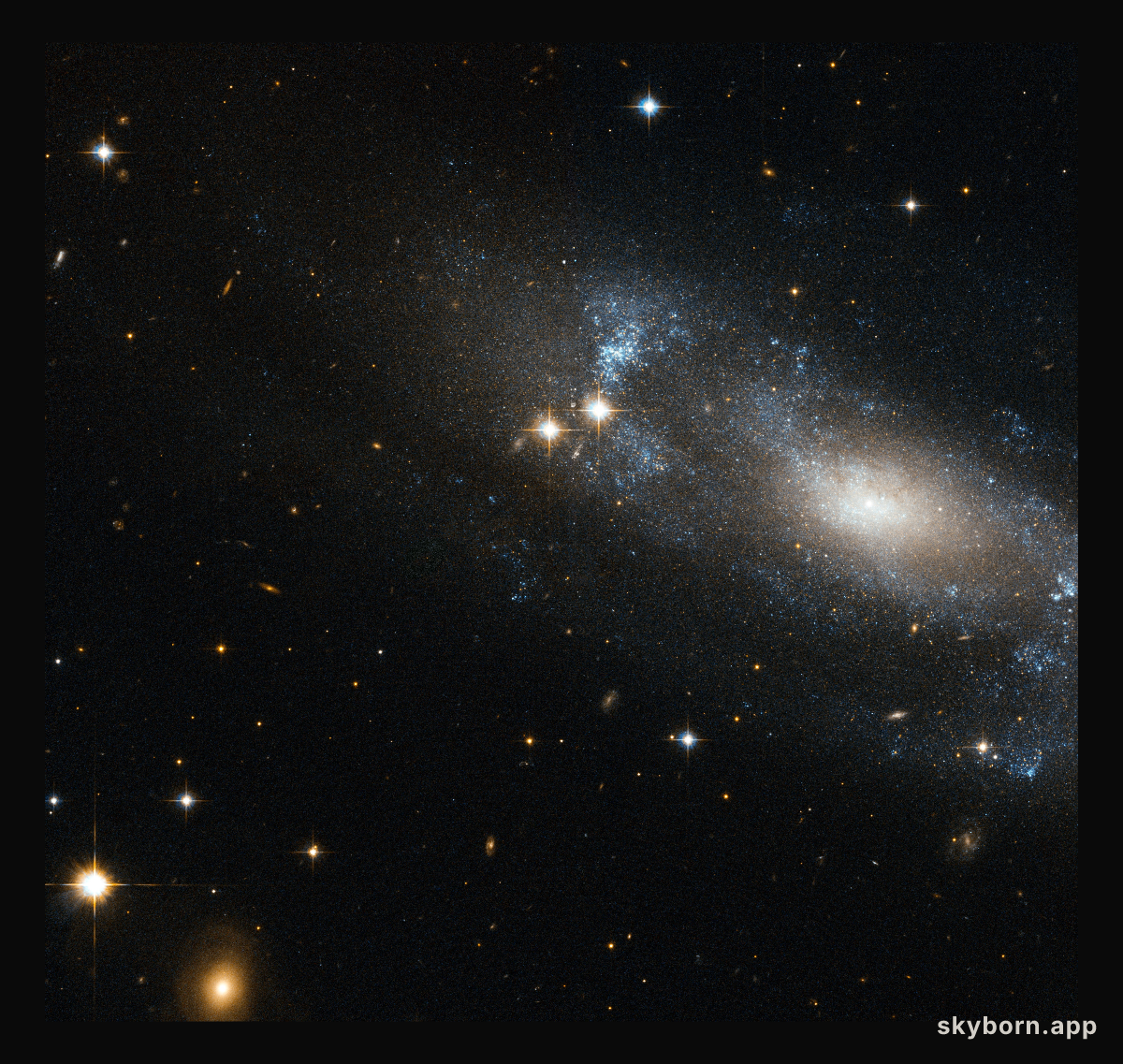 A loose spiral galaxy