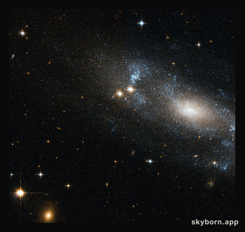A loose spiral galaxy