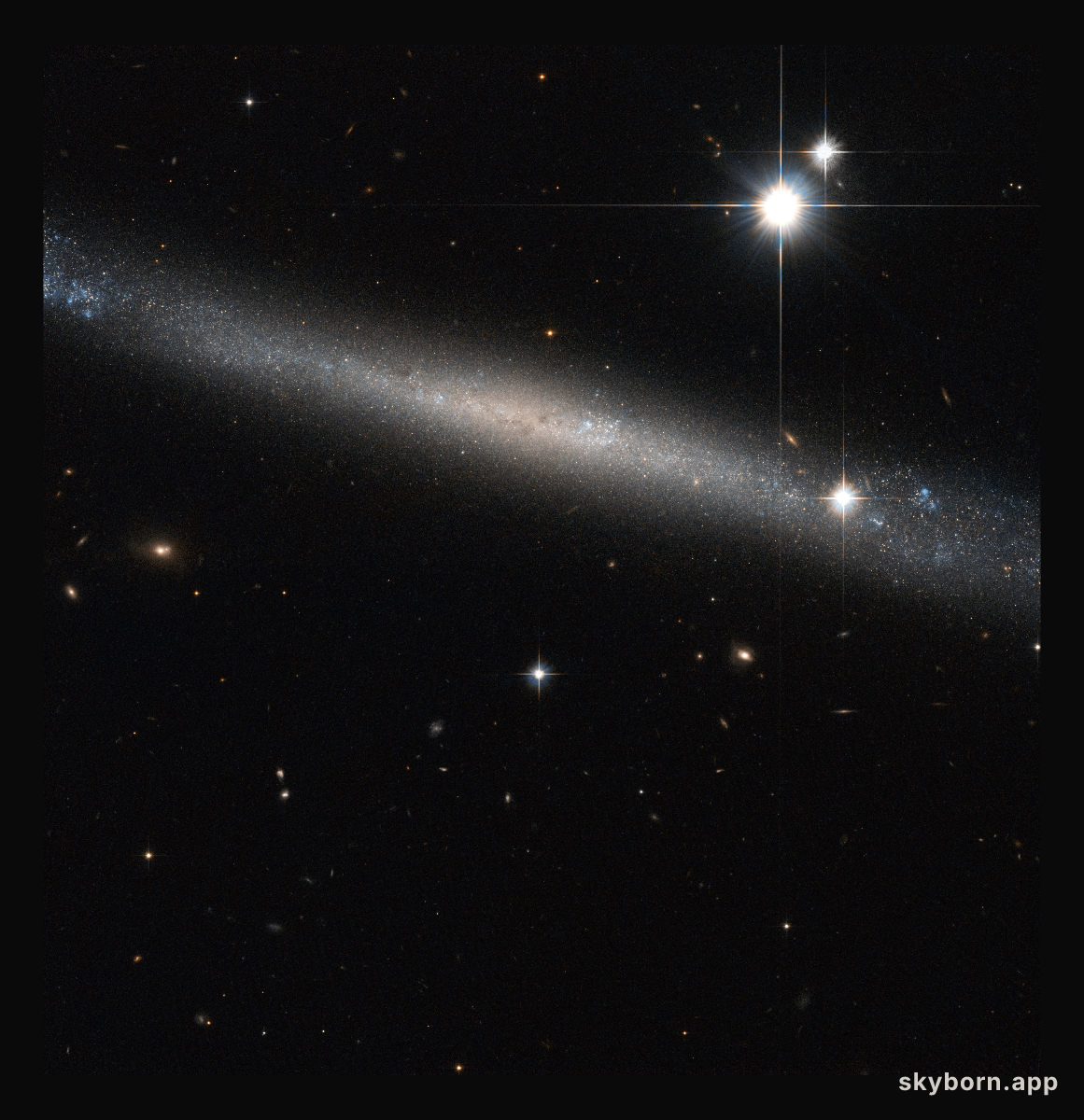 The Needle Galaxy