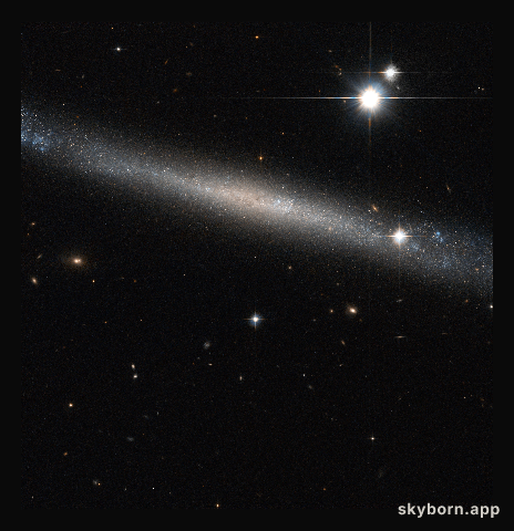 The Needle Galaxy