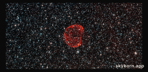 The remains of a star gone supernova