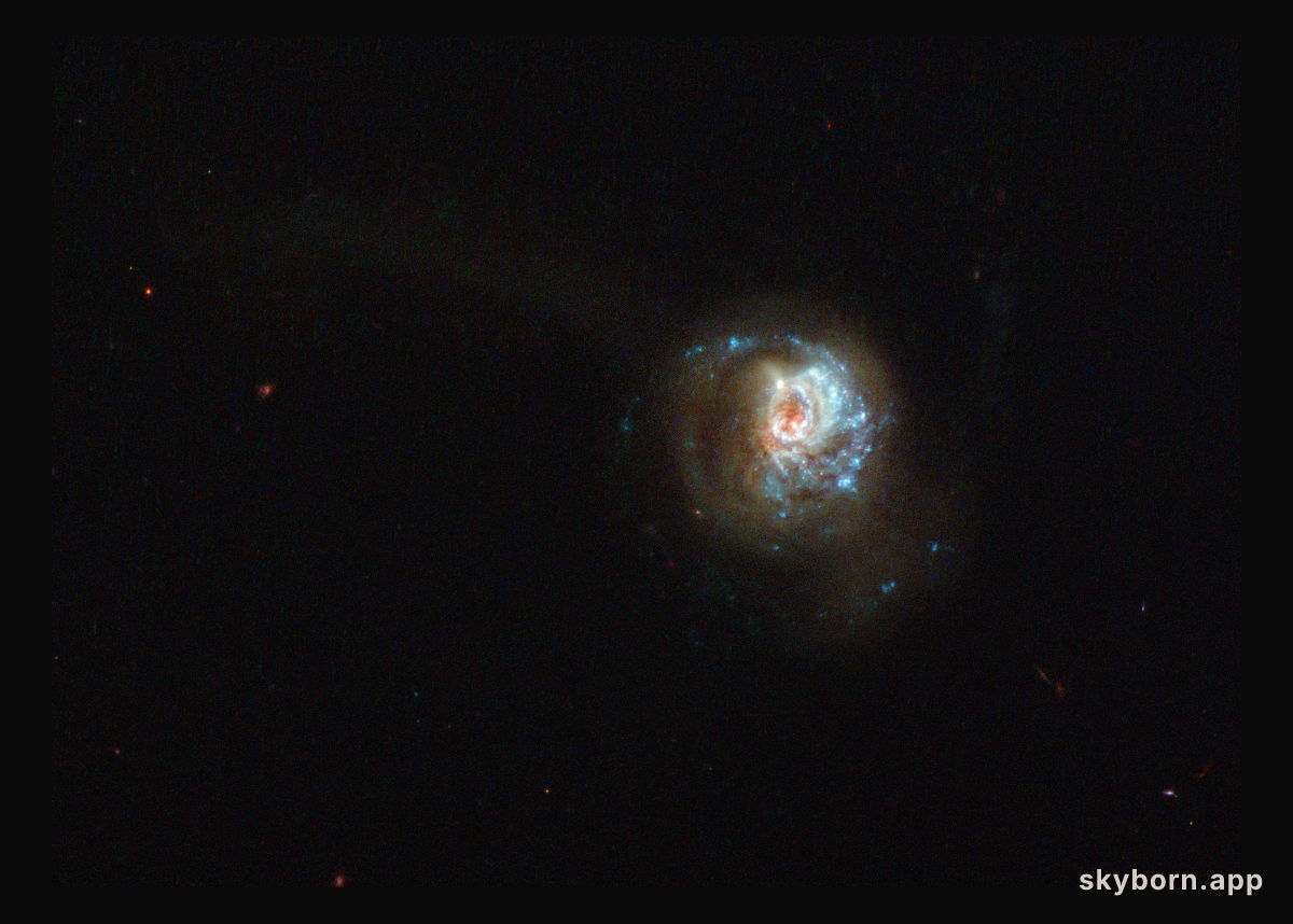 A swirl of star formation