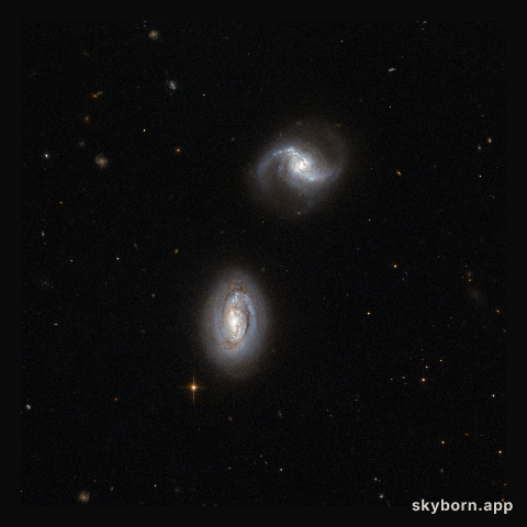 Inseparable galactic twins