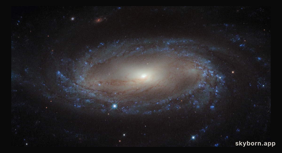 A spiral in the Air Pump