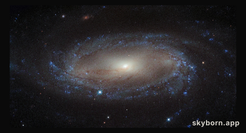 A spiral in the Air Pump