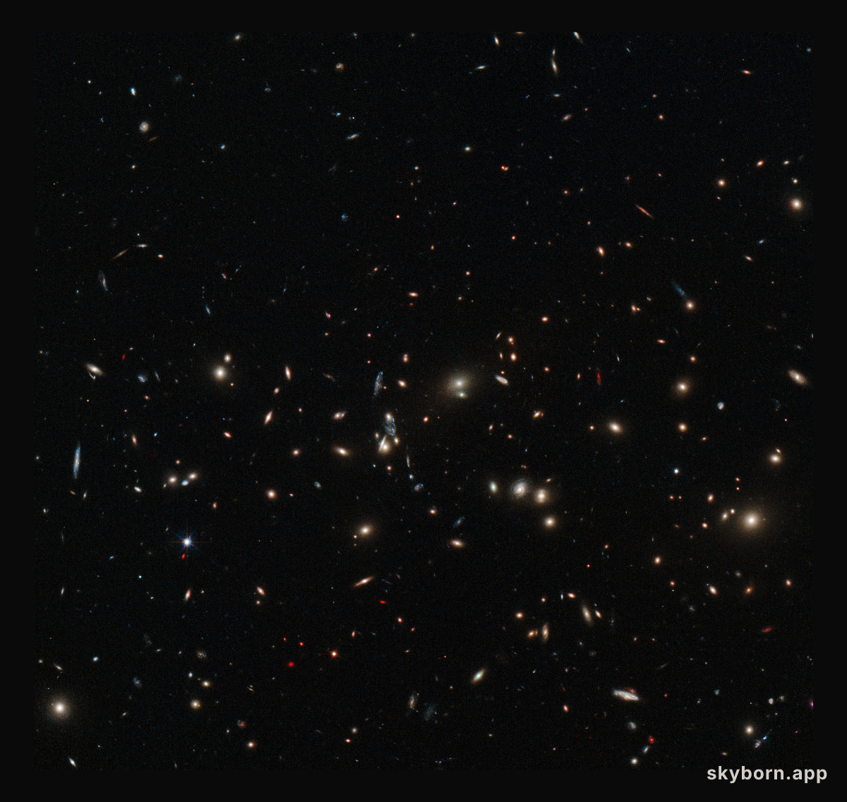 A scattering of spiral and elliptical galaxies