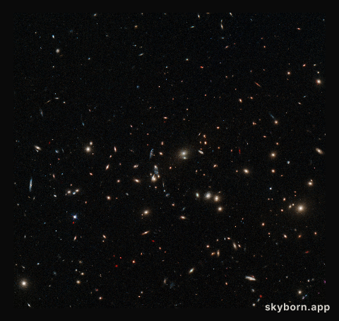 A scattering of spiral and elliptical galaxies