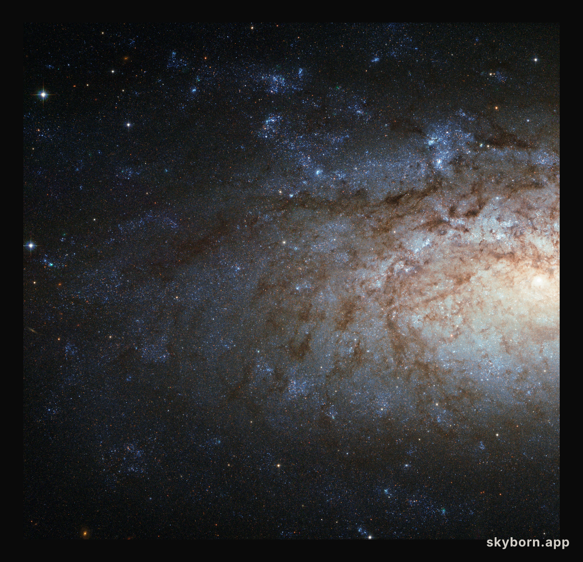 A special spiral galaxy for over 200 000 Facebook fans
