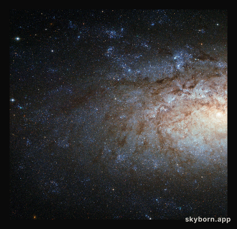 A special spiral galaxy for over 200 000 Facebook fans