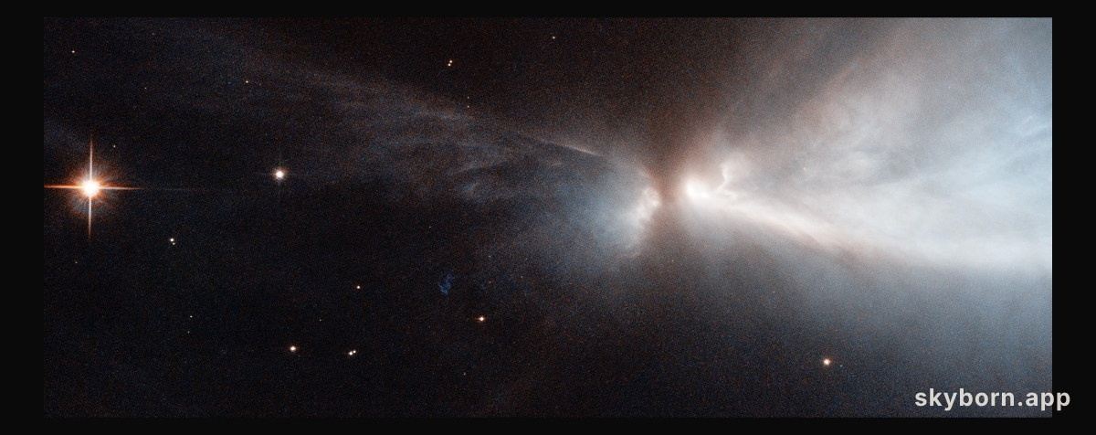 A nursery for unruly young stars