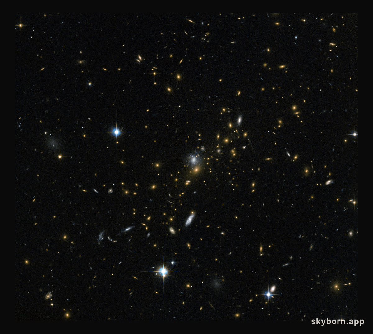 Magnifying the distant Universe