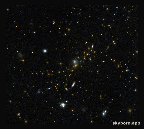 Magnifying the distant Universe