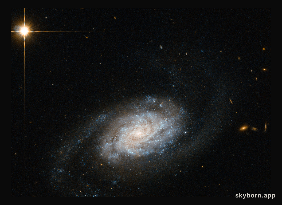 Galaxies spiralling around Leo