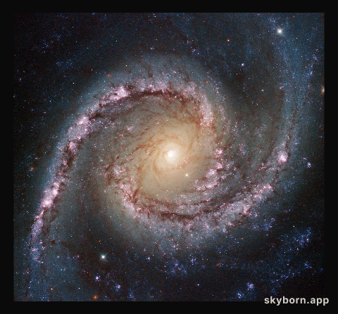 Grand swirls
