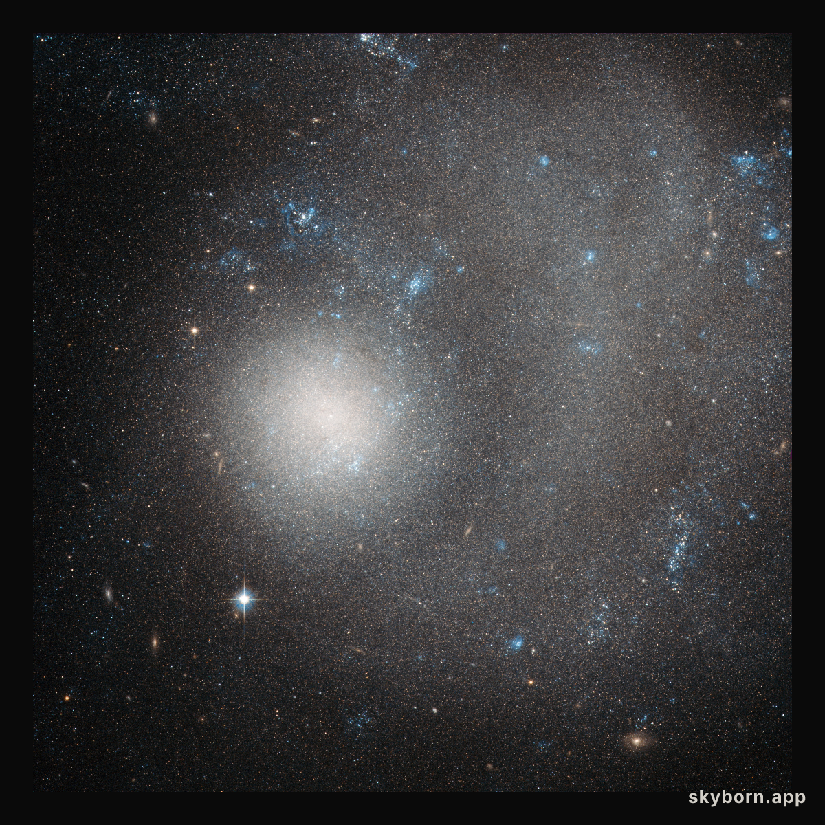 A dwarf galaxy ravaged by grand design