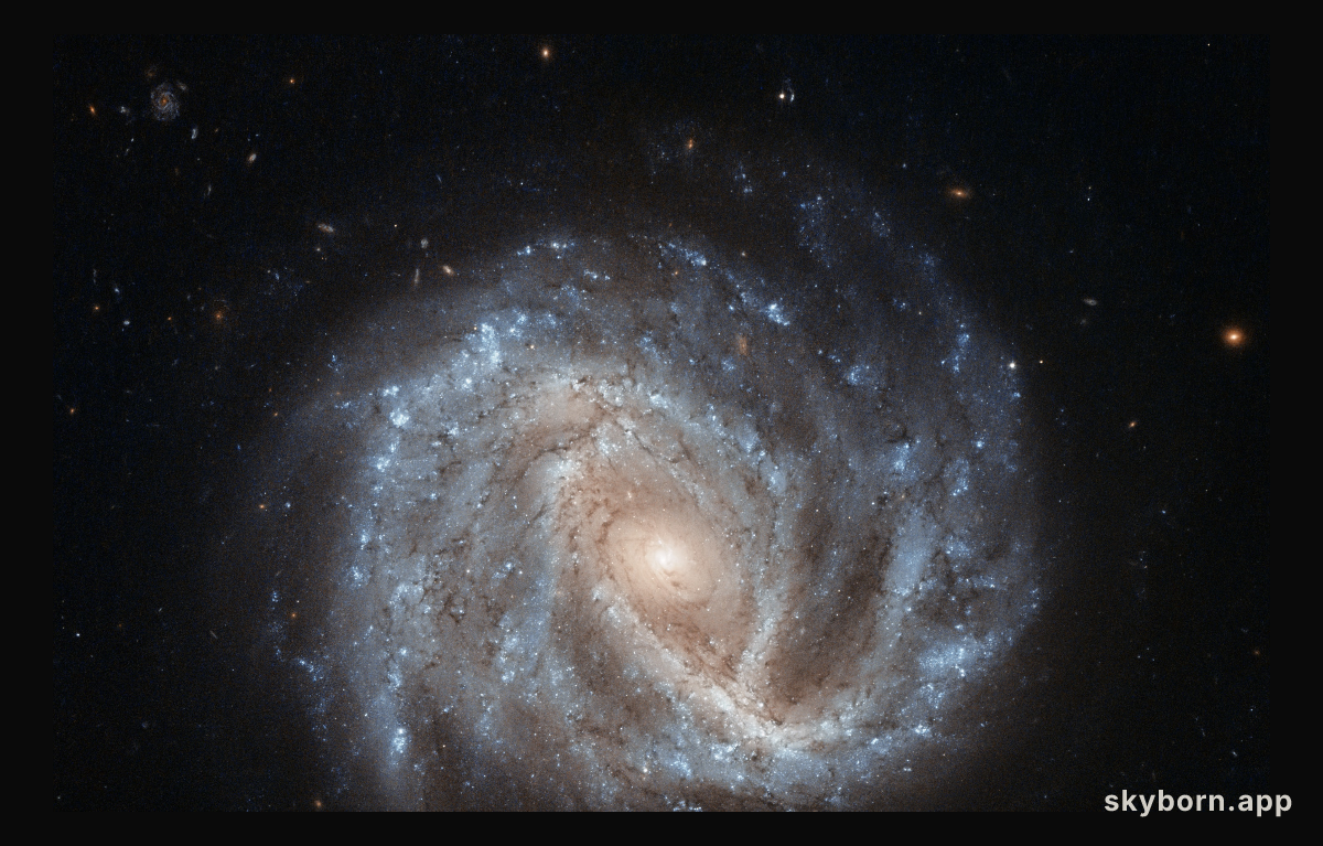 A curious supernova in NGC 2441
