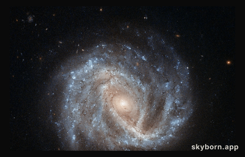 A curious supernova in NGC 2441