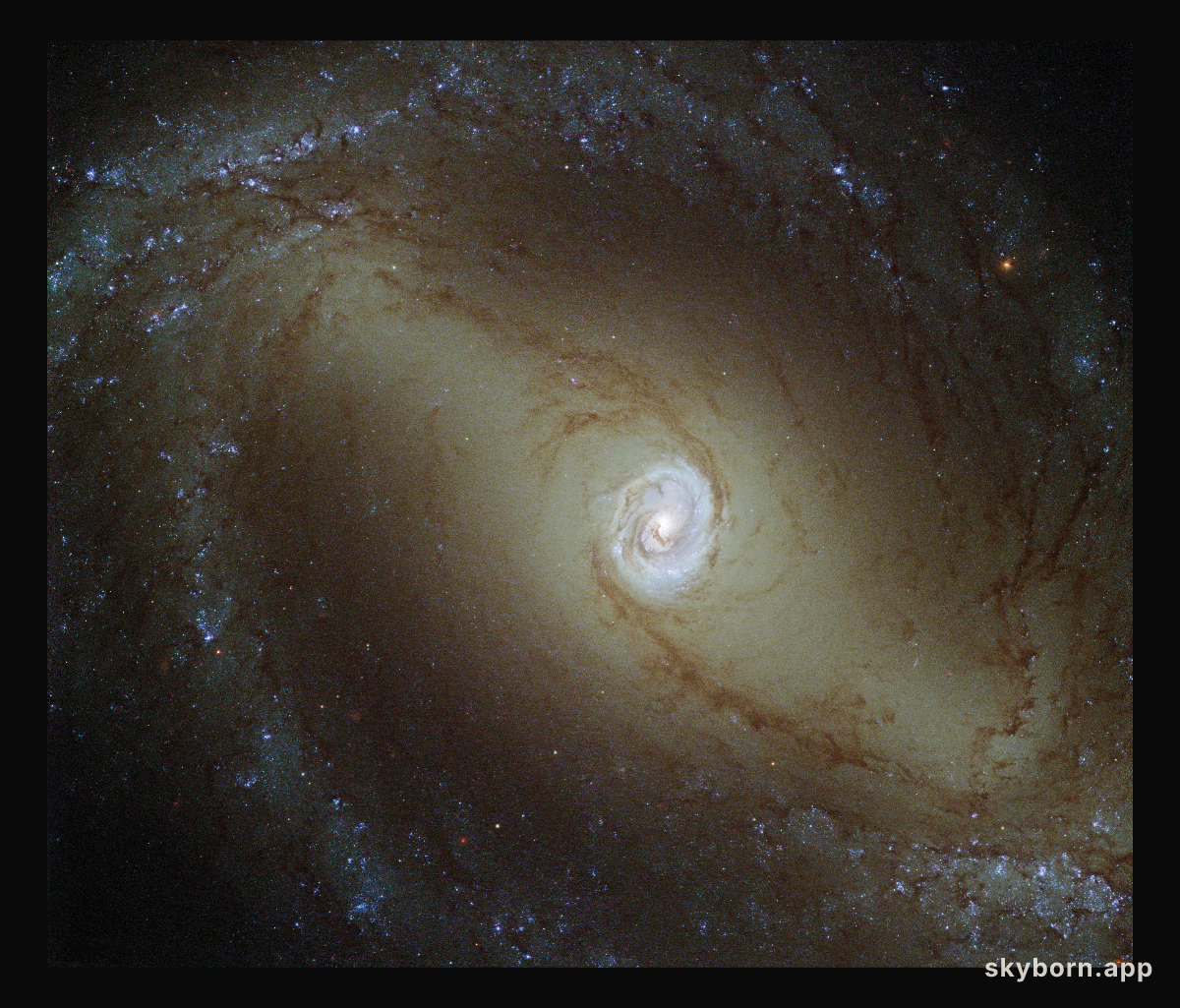 A galaxy with a glowing heart