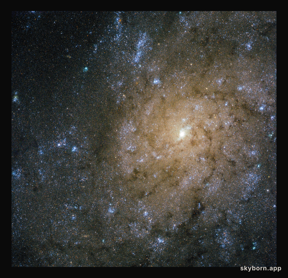 Jets and explosions in NGC 7793