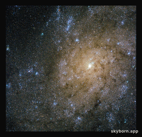 Jets and explosions in NGC 7793
