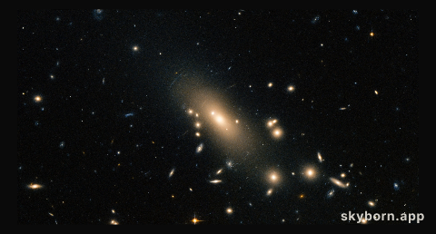 Hubble reveals a super-rich galactic neighbourhood