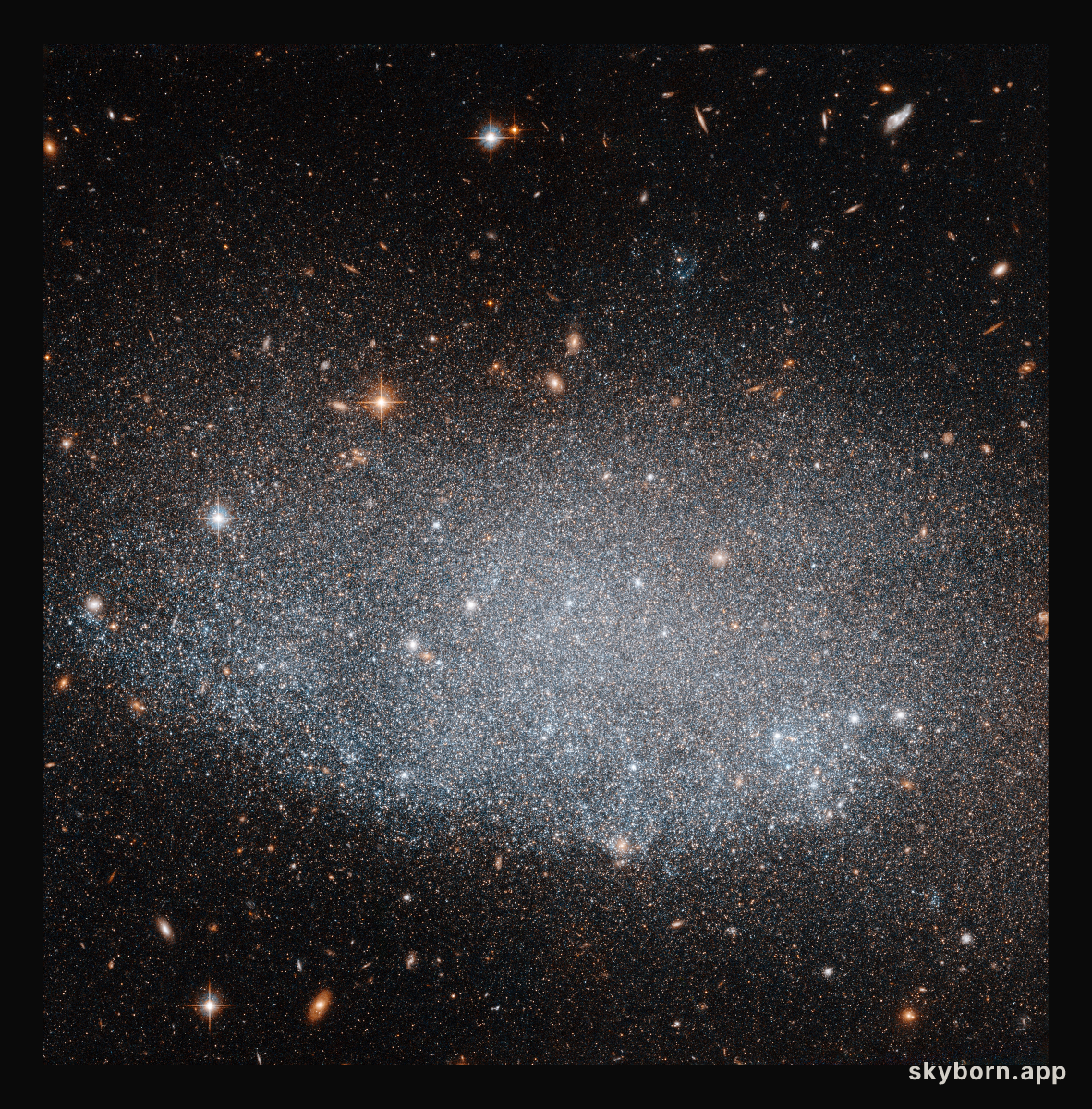 The mysteries of UGC 8201