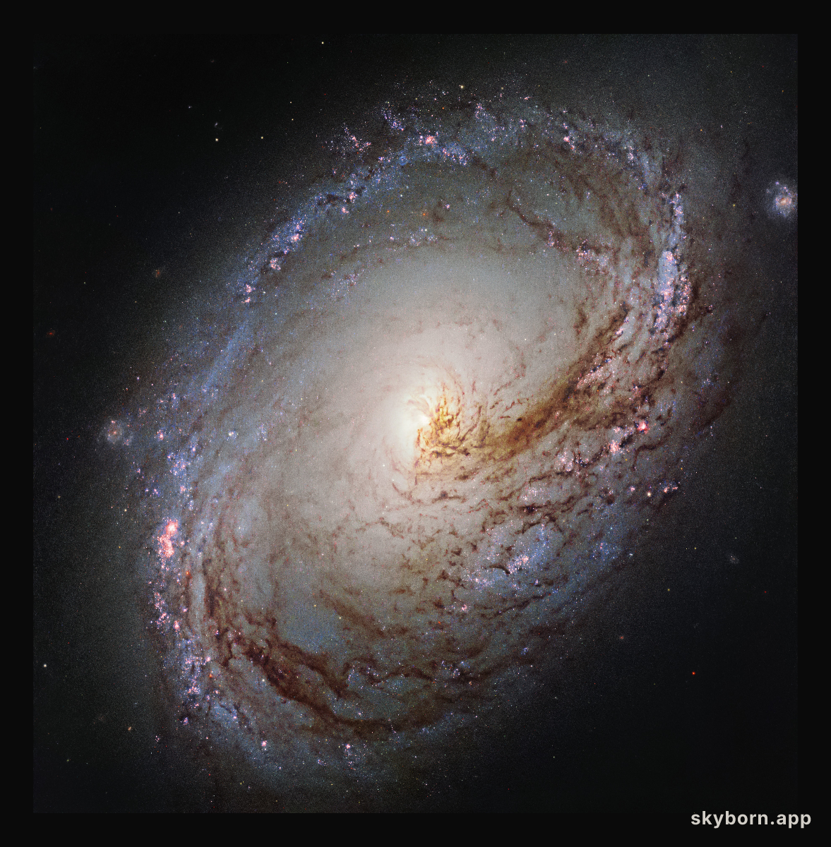 A galactic maelstrom