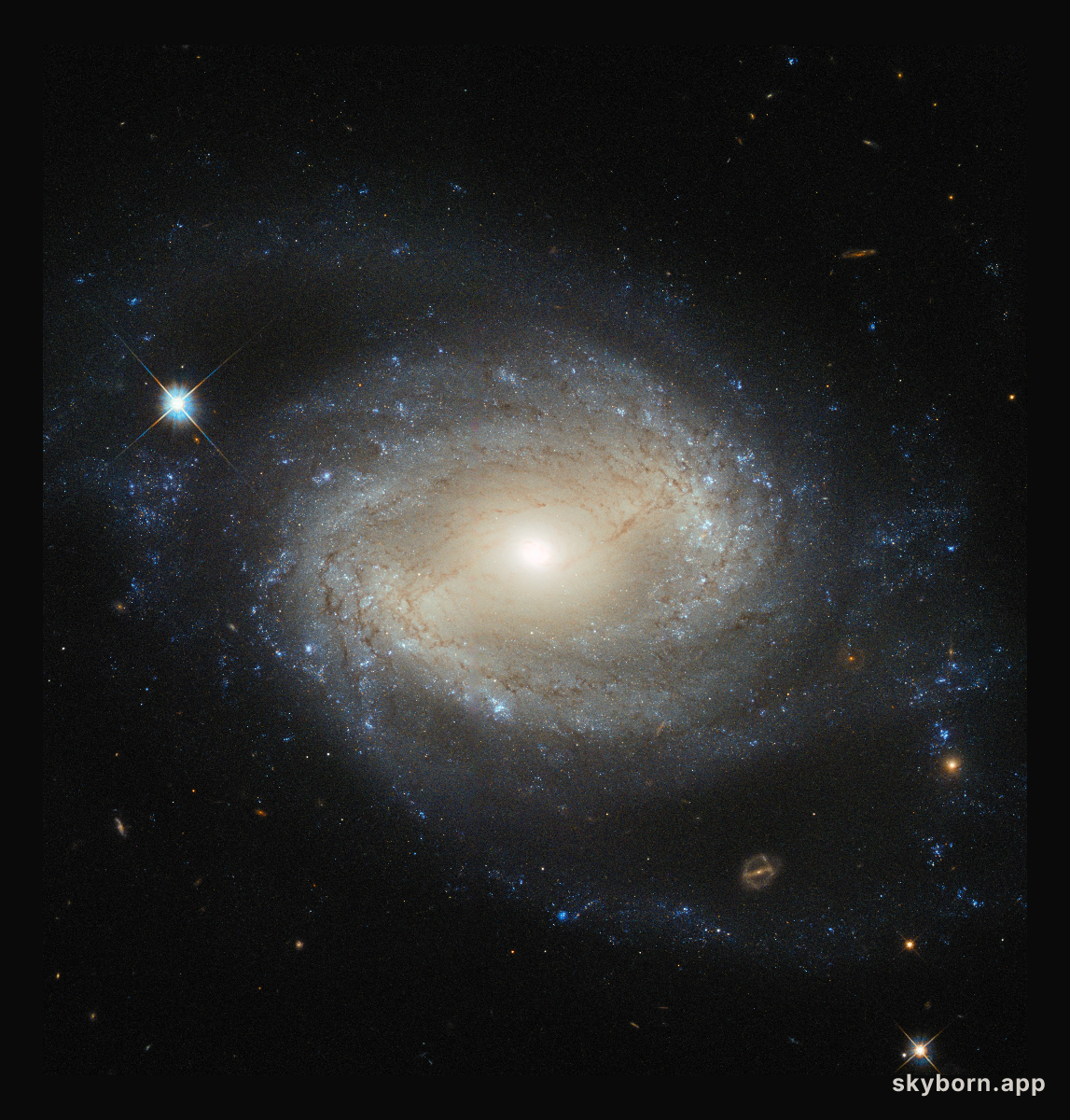 Elegant spiral hides a hungry monster