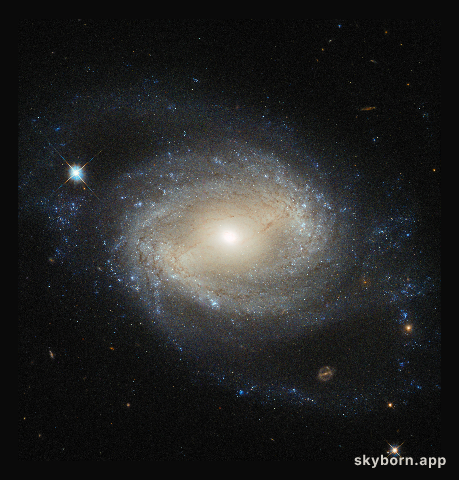 Elegant spiral hides a hungry monster